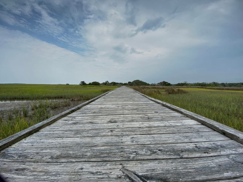 A wooden boardwalk cutting through lush green marshlands, leading toward the horizon under a cloudy sky on Basin Trail near Kure Beach NC
