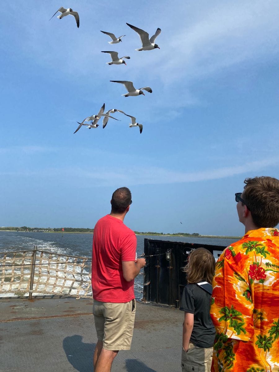 A family enjoys feeding seagulls while standing on the deck of the Fort Fisher Ferry, with birds soaring above and the water behind them under a clear blue sky near Kure Beach, NC.