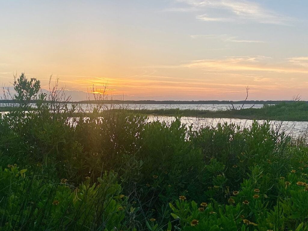 A peaceful sunset over a marsh in Kure Beach, NC, with orange and yellow hues reflecting on the water and lush green foliage in the foreground.