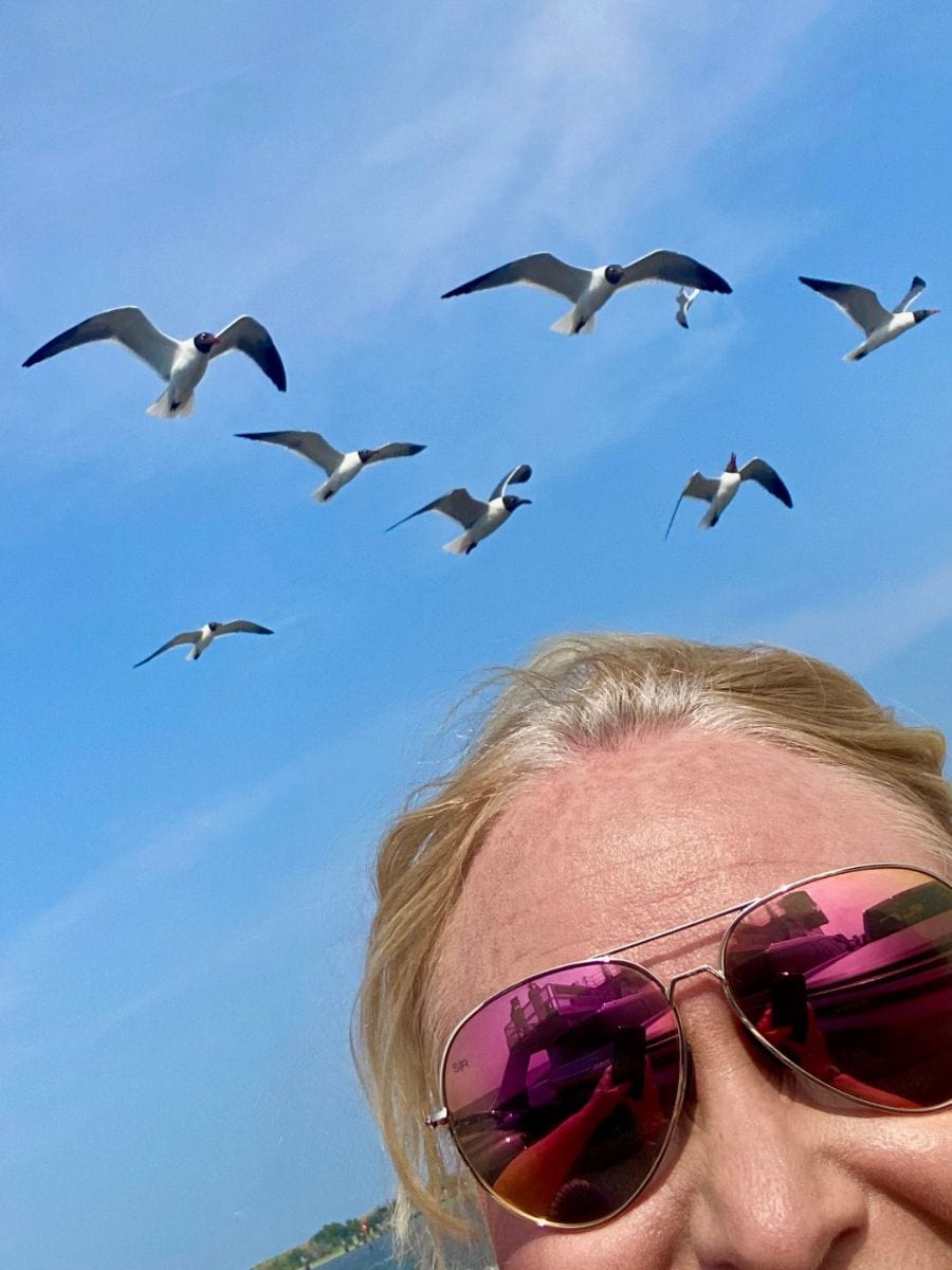 A playful shot of seagulls flying against a bright blue sky, with a woman smiling in the foreground wearing reflective pink sunglasses taken from the Fort Fisher Ferry new Kure Beach, NC,