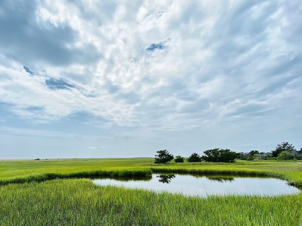 A marshland view with a still reflective pond surrounded by tall grass, under a cloudy sky along Basin Trail near Kure Beach, NC.