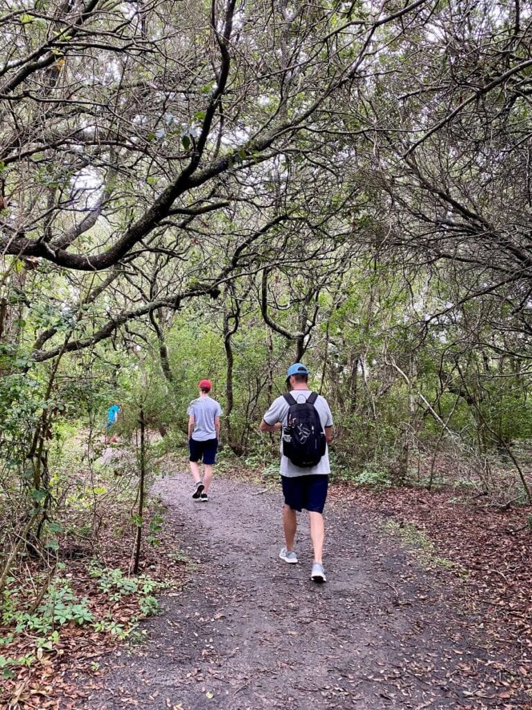 Two hikers walking along a shaded dirt path surrounded by dense trees and branches on the Basin Trail near Kure Beach, NC.